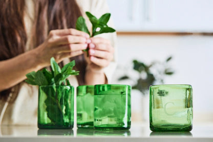 Four green lightly tinted short glass tumblers, arranged for a summer party setup, perfect for cocktails, made from 100% recycled glass.